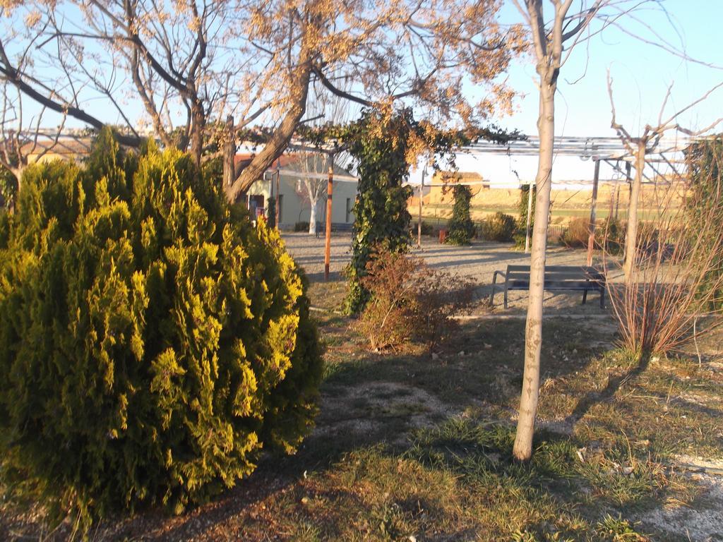 Albergue Cetina מראה חיצוני תמונה